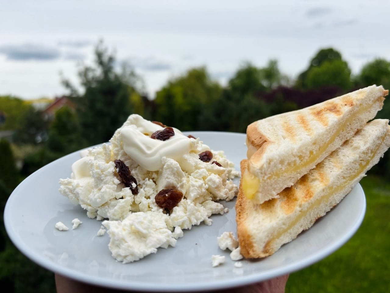 Bezglutenowe śniadanie – twarożek z rodzynkami i tost bezglutenowy na talerzu