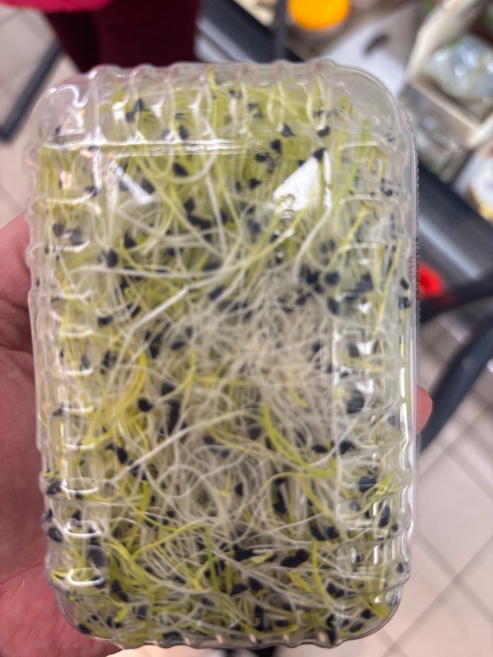 Kiełki pora Vital Fresh – wegańskie produkty w Biedronce 2026